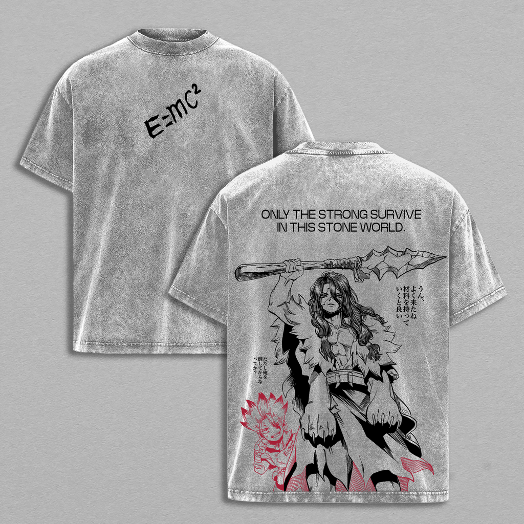 Tsukasa Shishio x Senku Ishigami Dr. Stone Anime Vintage Washed Tee